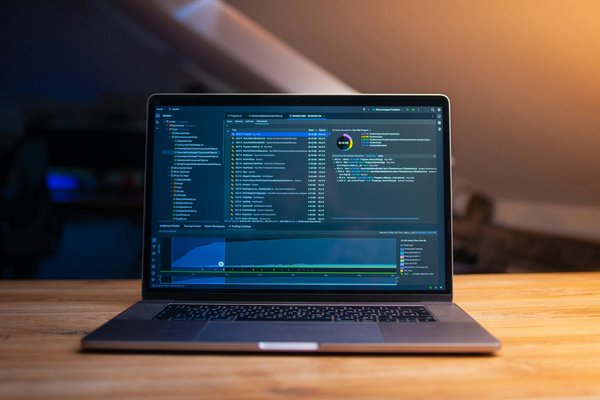 Essential Steps to Effectively Socialize a Rescue Dog with a Trauma Background